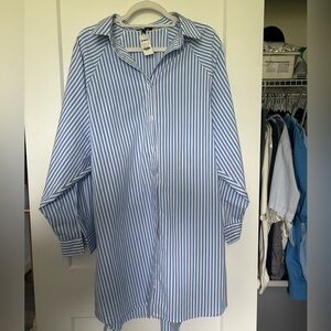 NWT Express dress